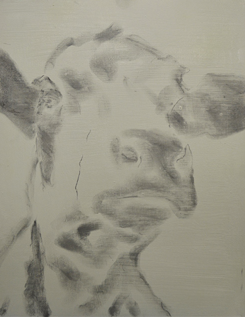 Capturing Expression in Abstract Realism