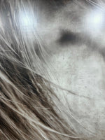 “Wild and Free”
