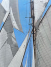 "Saint Tropez"