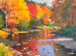 "Fall Stream Reflections"