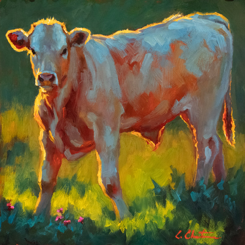 "Illuminated Grazing"