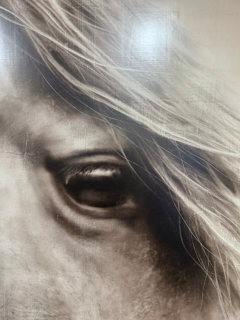 “Wild and Free”