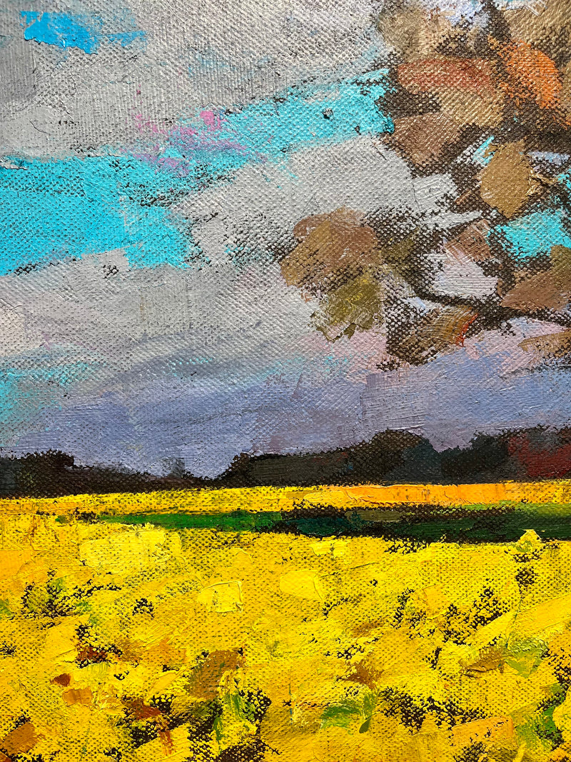 “By the Rapeseed Field”