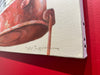 "Lanterne Rouge"