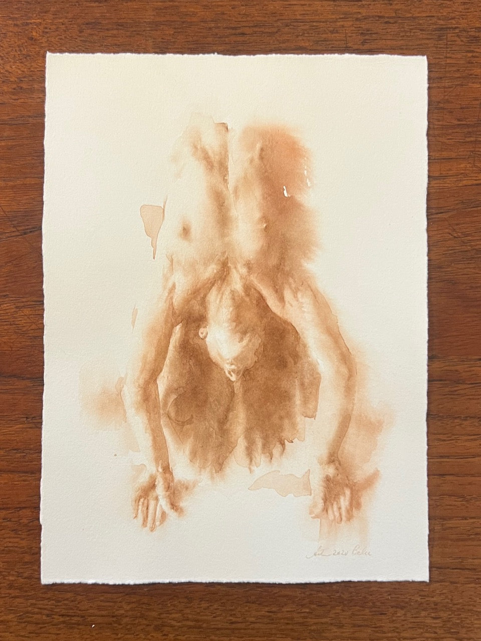 Nude watercolor painting by Wendy Artin of a nude man (torso only), bending back - Aerial view