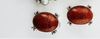 "Large red sponge coral earring clip"