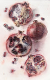 Still life water color painting by Wendy Artin of four pomegranate halves - one turned over - and pomegranate seeds scattered around