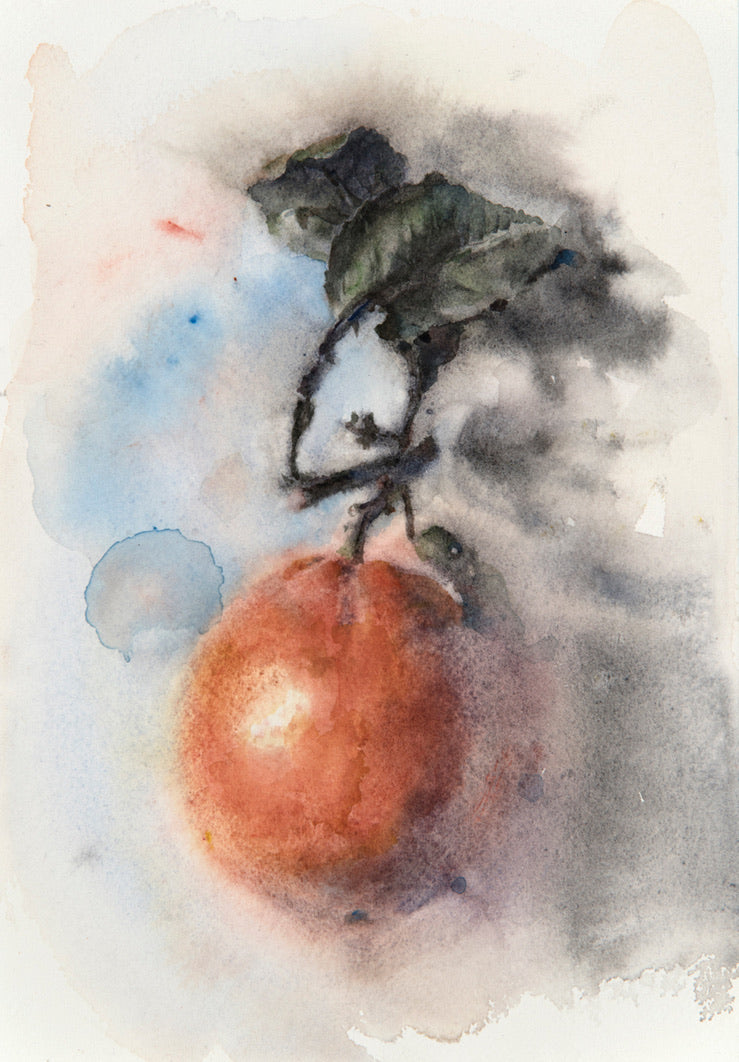 Still life watercolor painting by Wendy Artin of an orange on stained background