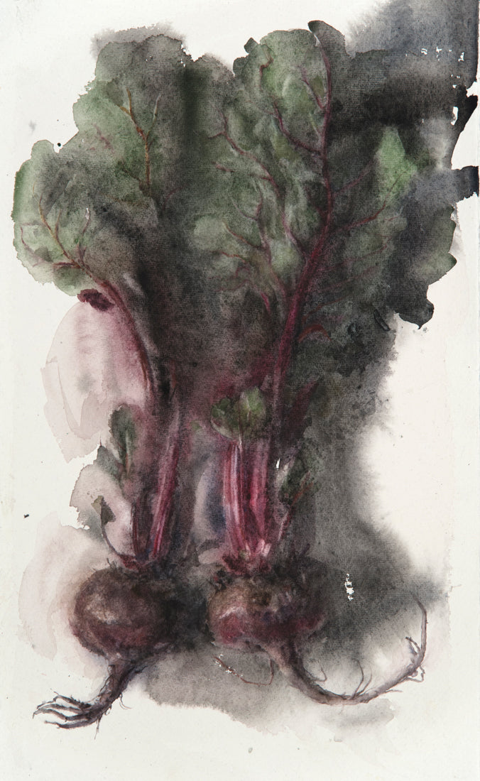 Still Life watercolor painting by Wendy Artin of deep red beets and dark green leaves