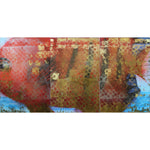 Abstract fish painting on acrylic panels by Carol Bennett