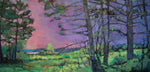 "Moose Habitat II"