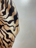 "Zebra #533"