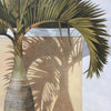 Oil painting of a smaller palm tree casting detailed shadows onto the beige and white wall behind it by artist Michel Brosseau.