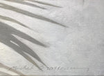 "Palm with Shadow"
